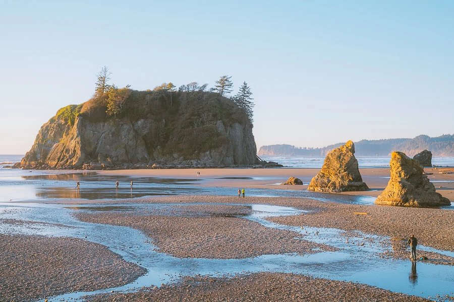 Coast Visit