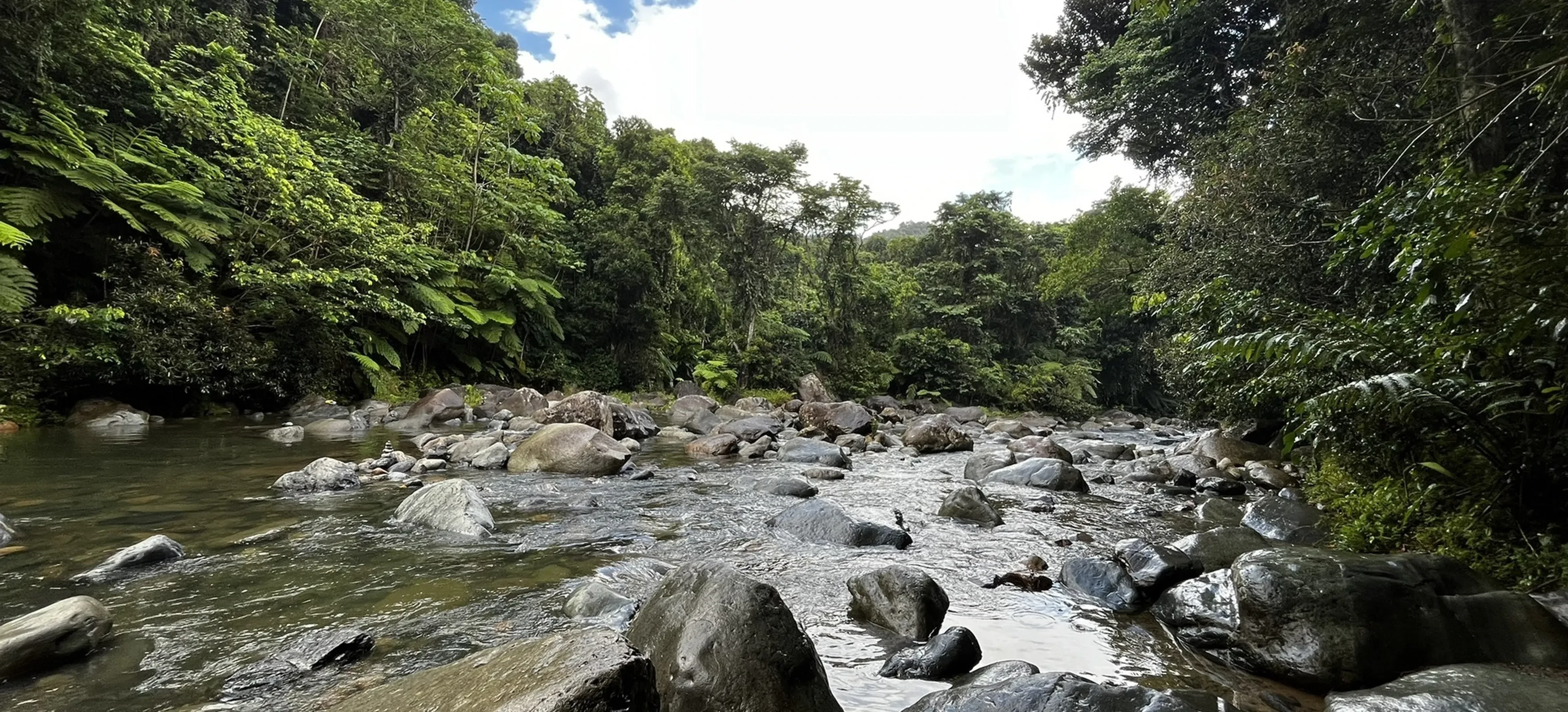 Angelito Trail