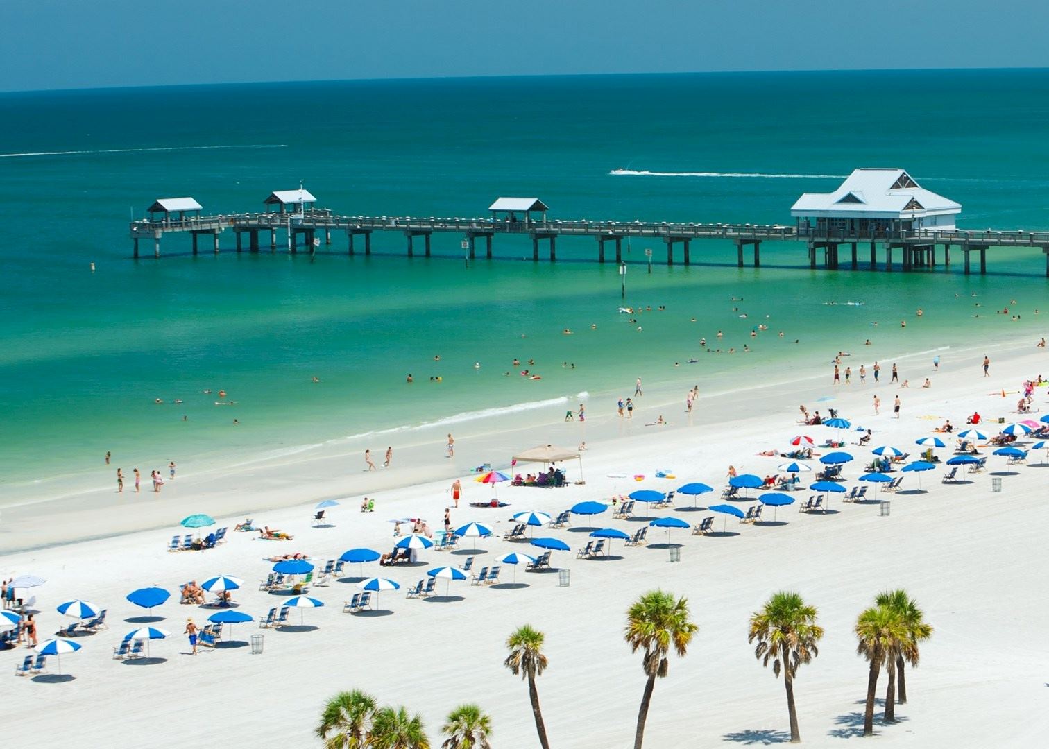 Your experience at Clearwater Beach Day Trip From Orlando