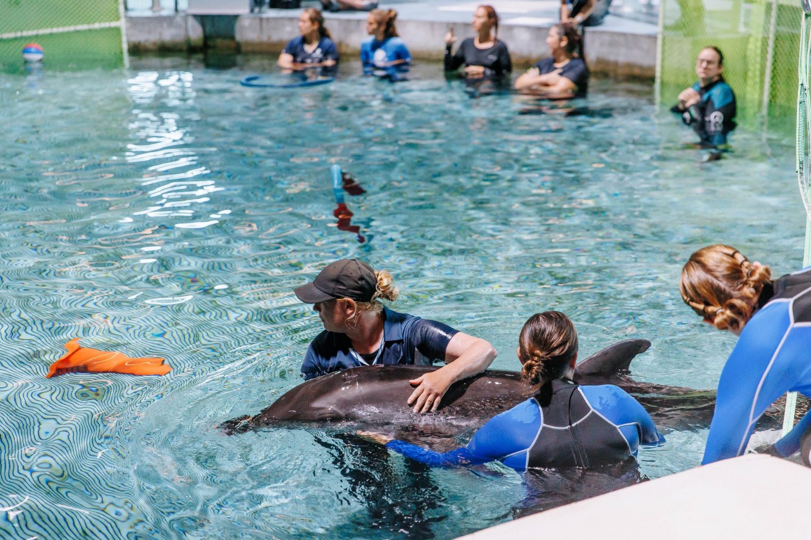 Clearwater Marine Aquarium