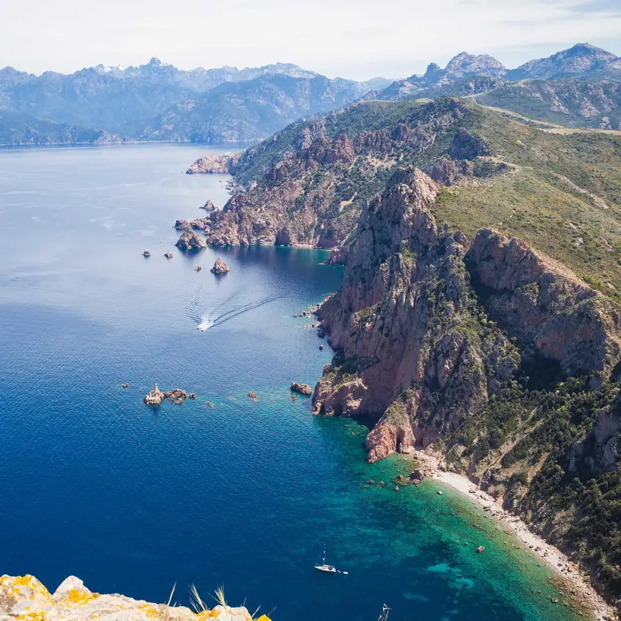Calvi Scandola Boat Trip