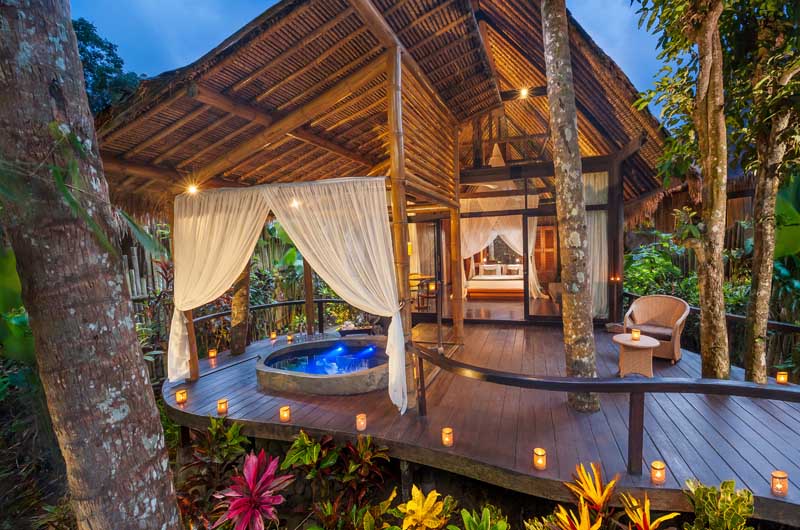 Rainforest Retreat