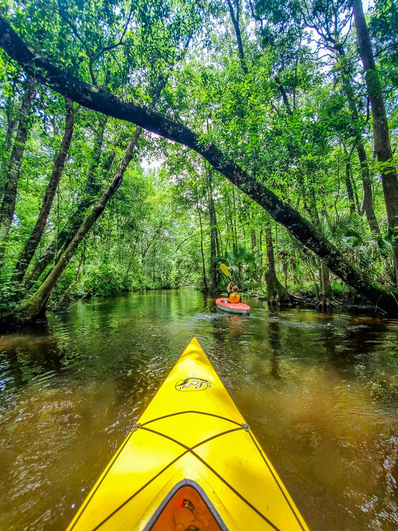Your experience at Lake Mapourika Kayak