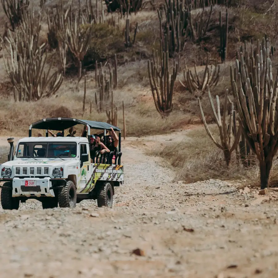 Arikok National Park Jeep Tours