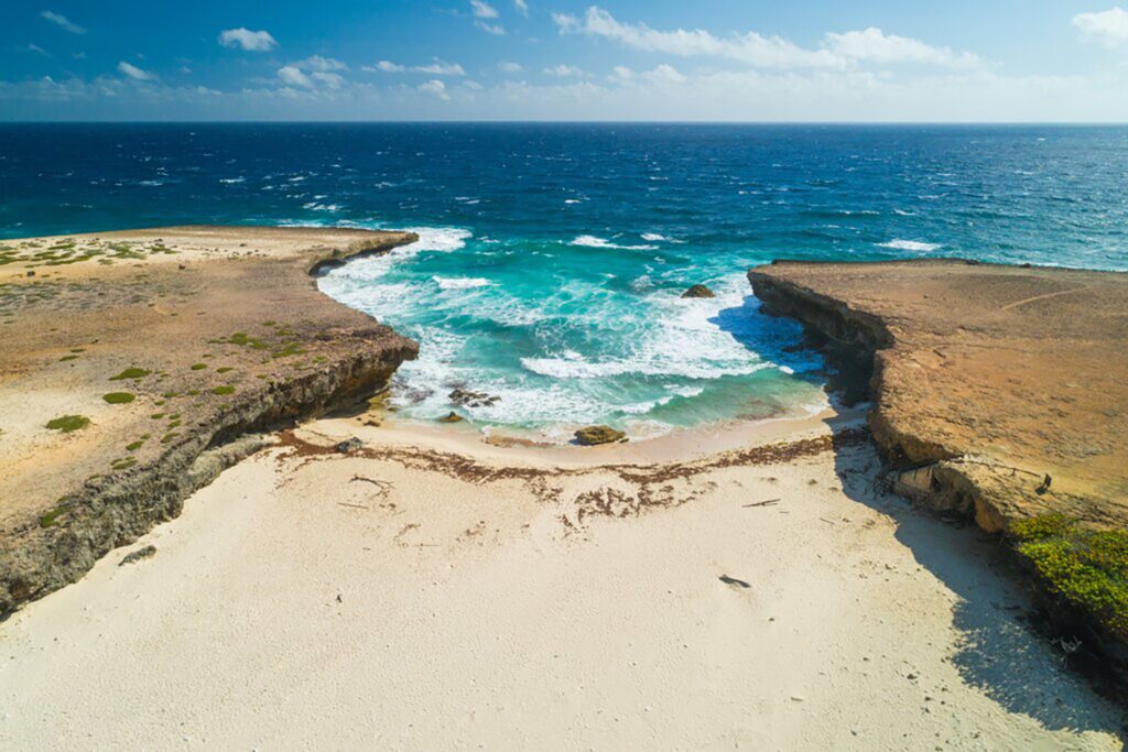 Coastal Viewpoint