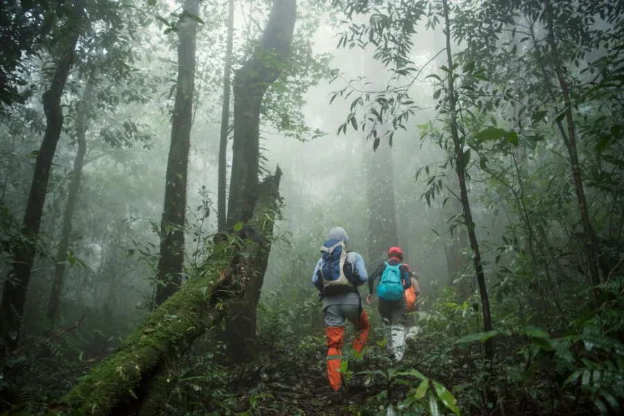 Bukit Lawang Jungle Trekking What to Bring
