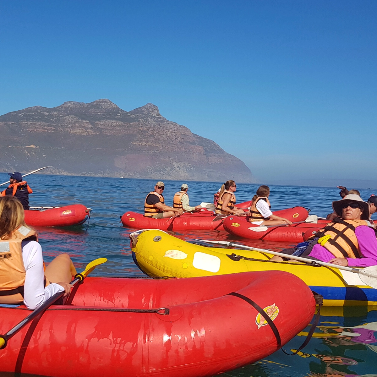 Hout Bay Dolphin Kayaking