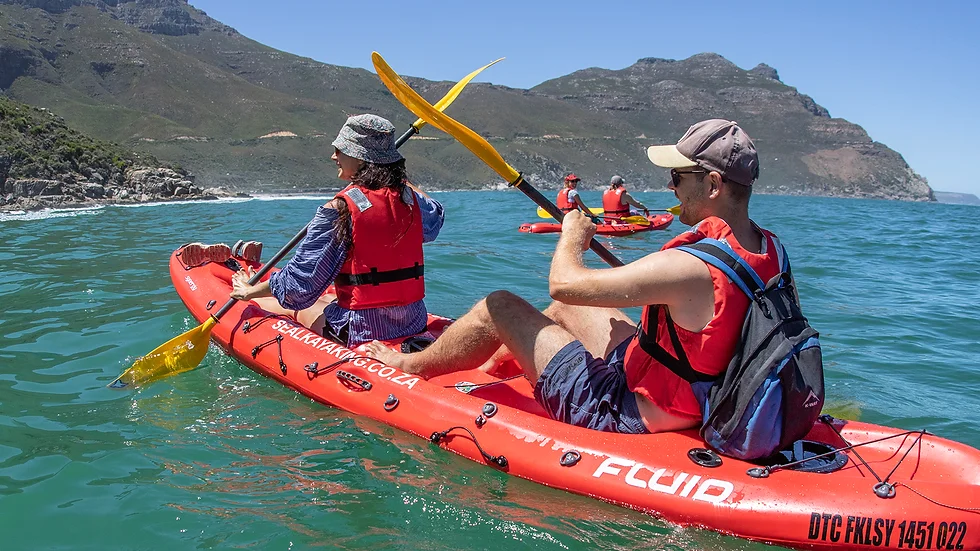 Kayaking Hout Bay Prices