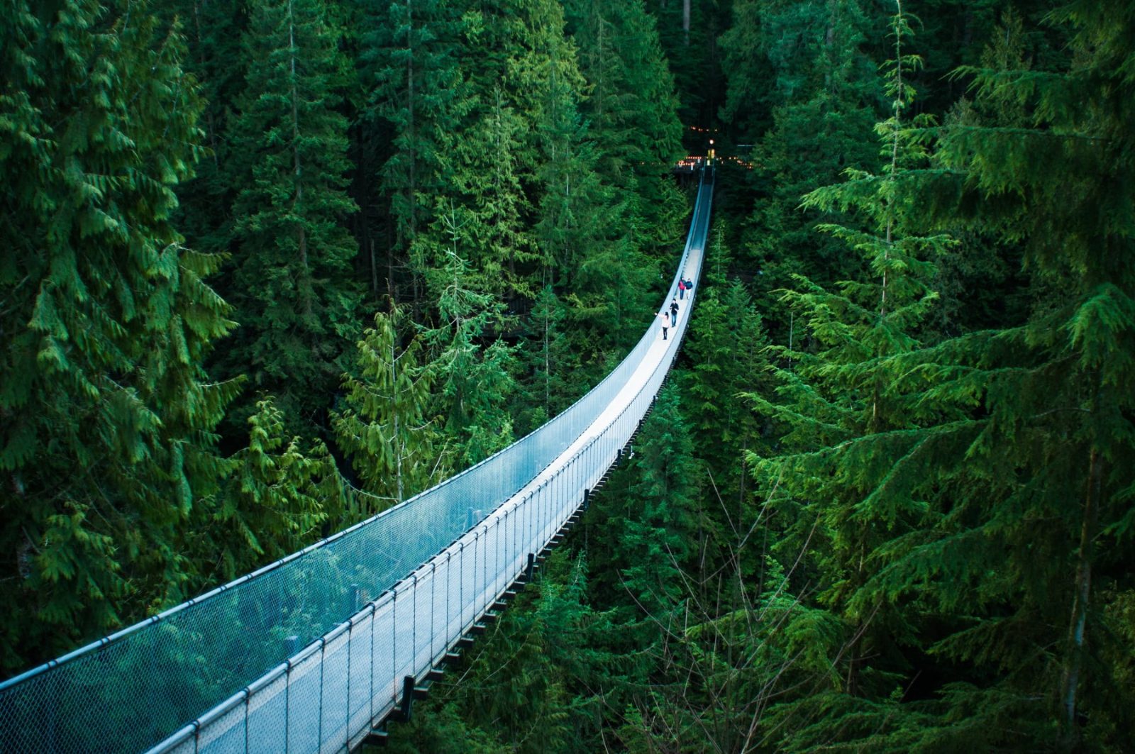 Capilano Suspension Bridge
