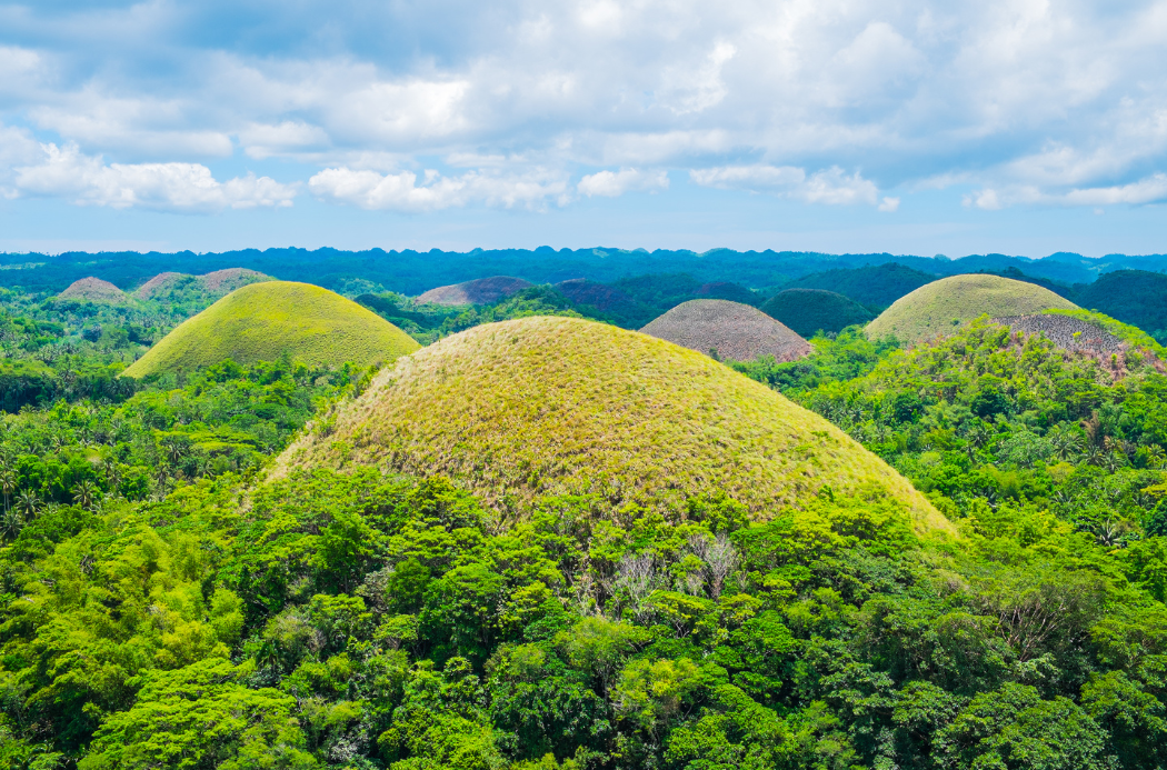 Chocolate Hills Adventure Park