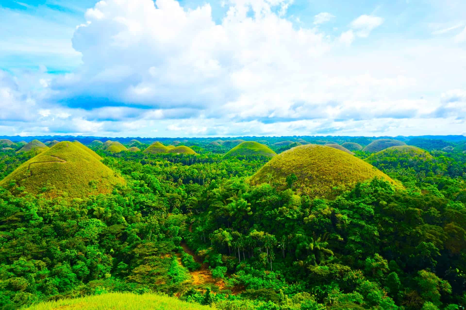 Bohol Countryside Tour Diy