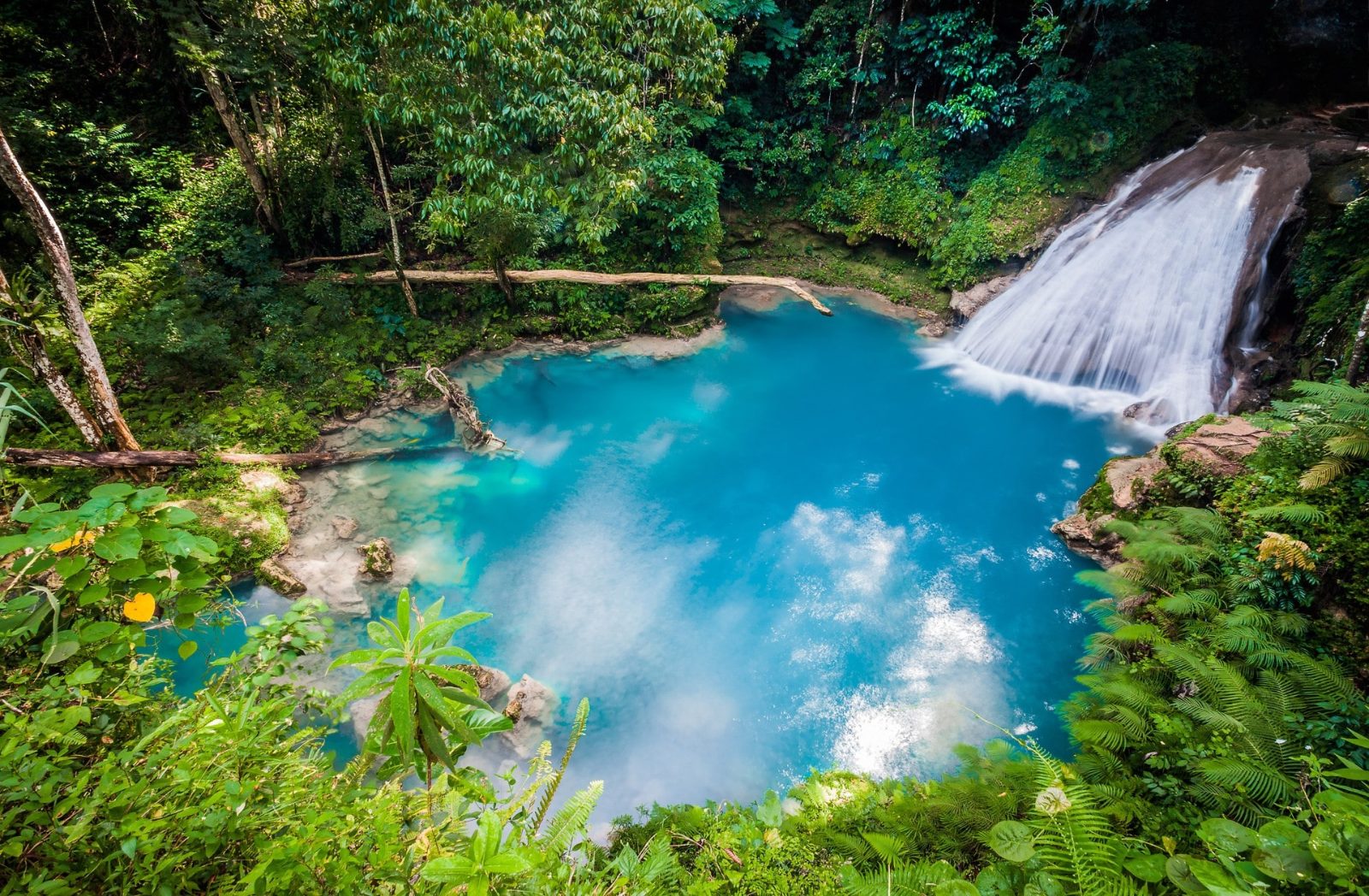 Ocho Rios Tours & Dunn's River Falls