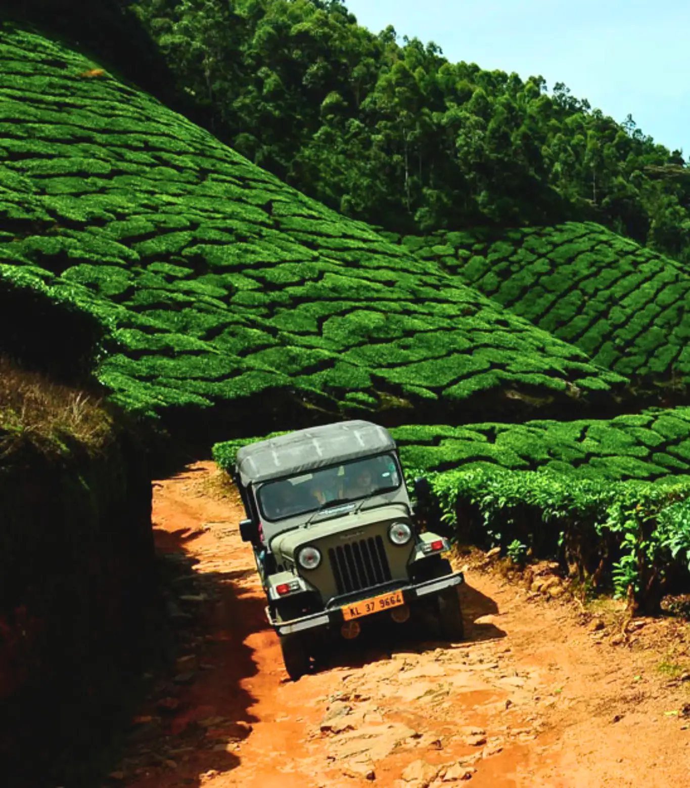 Anakulam Jeep Safari From Munnar
