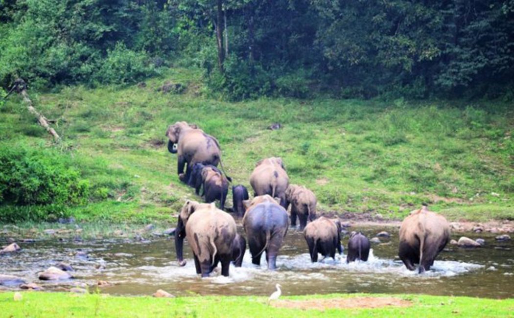 Anakulam Jeep Safari Timings