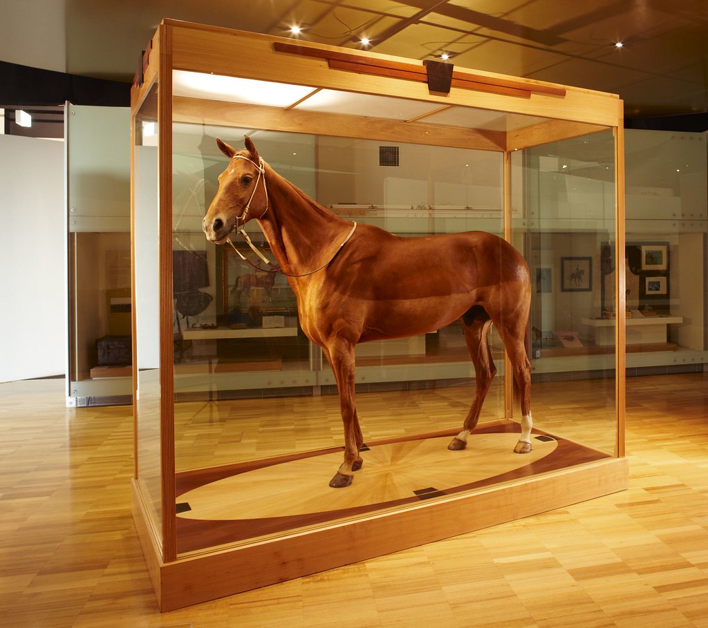 Phar Lap