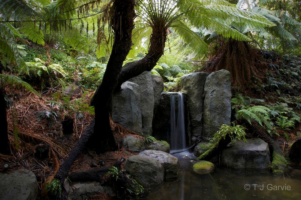Forest Gallery Waterfall