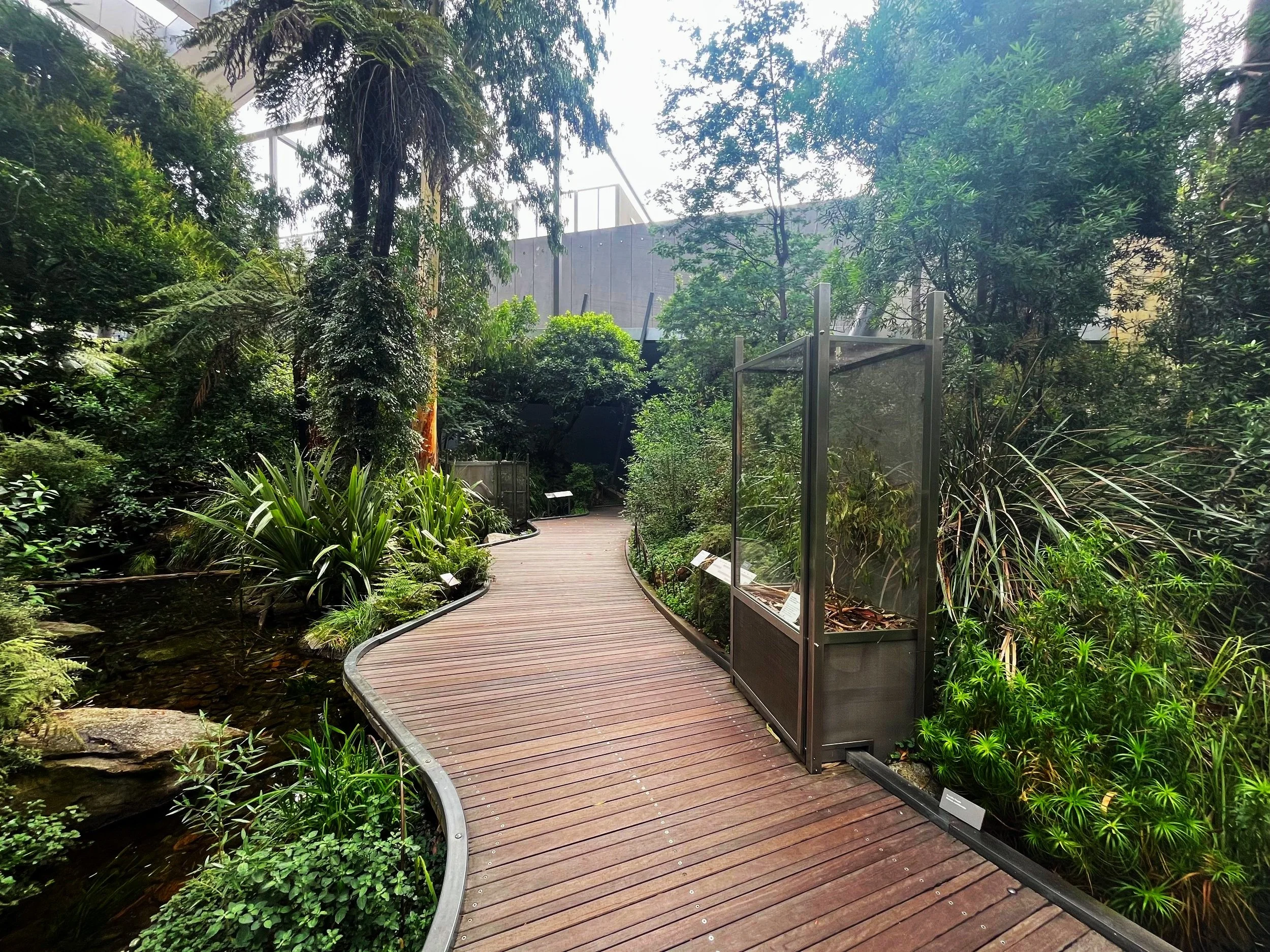 Forest Gallery
