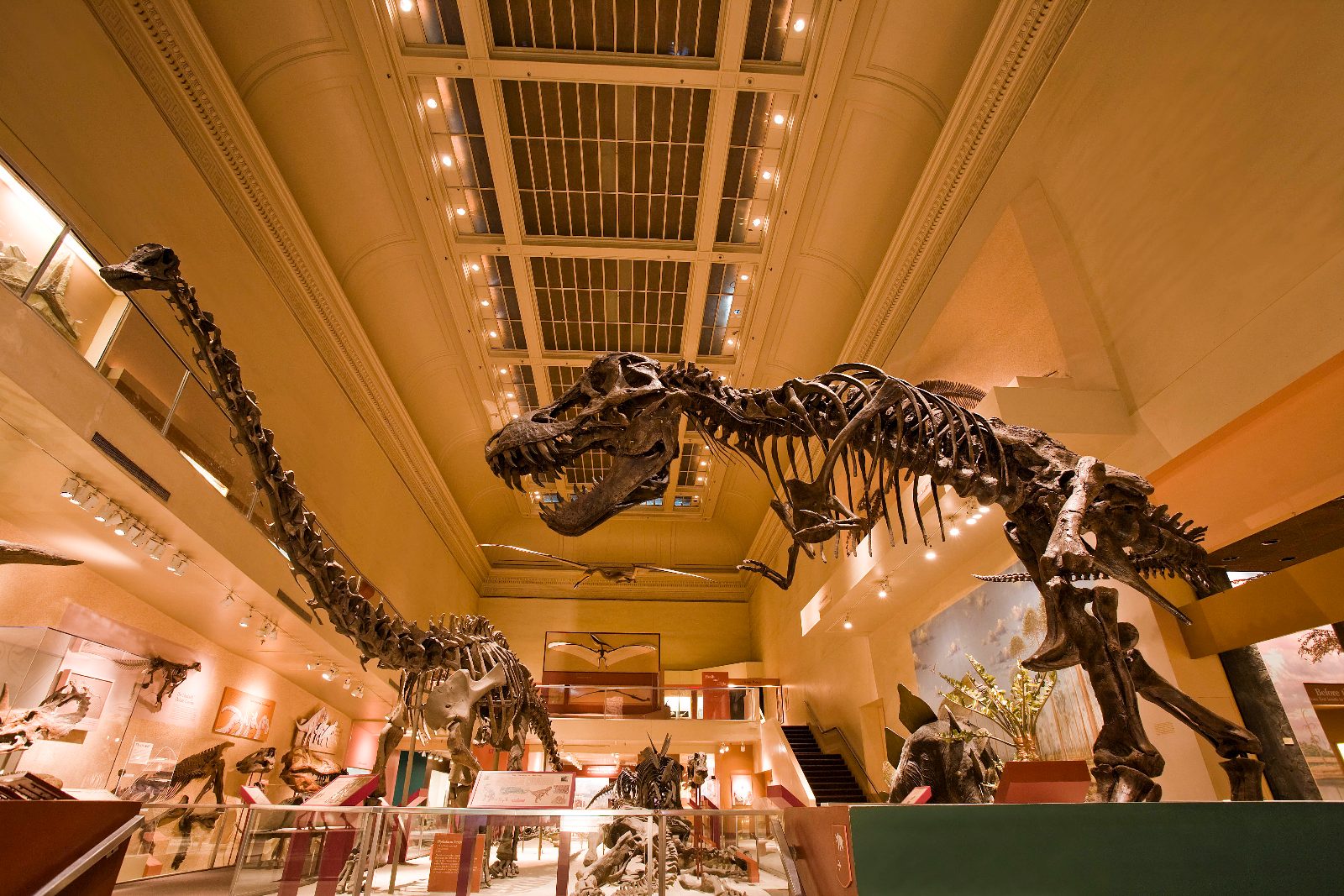 Dinosaur Walk Skeleton Hall