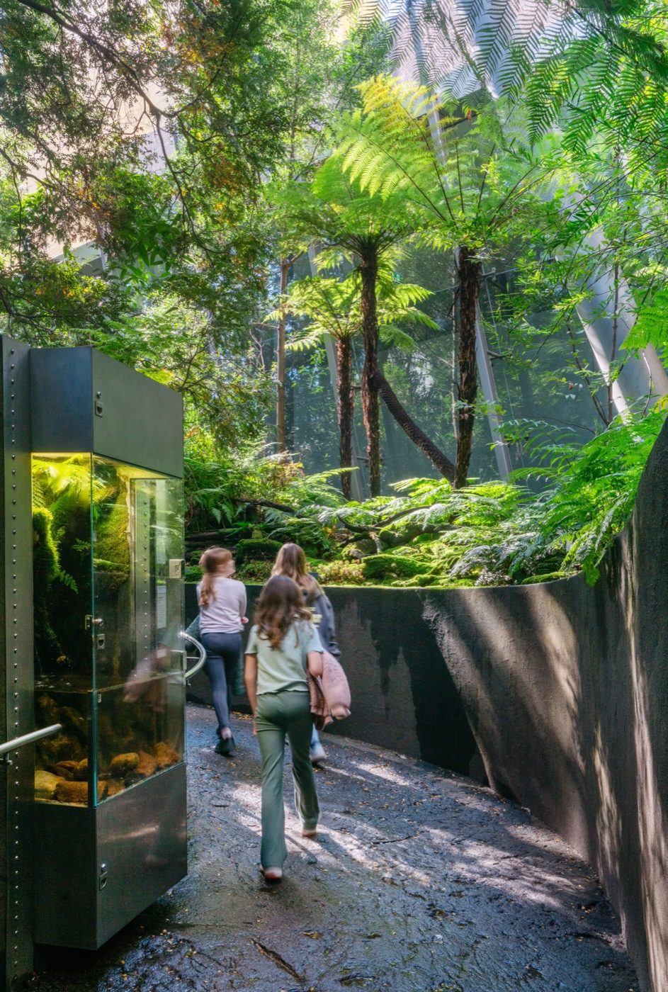 Forest Gallery