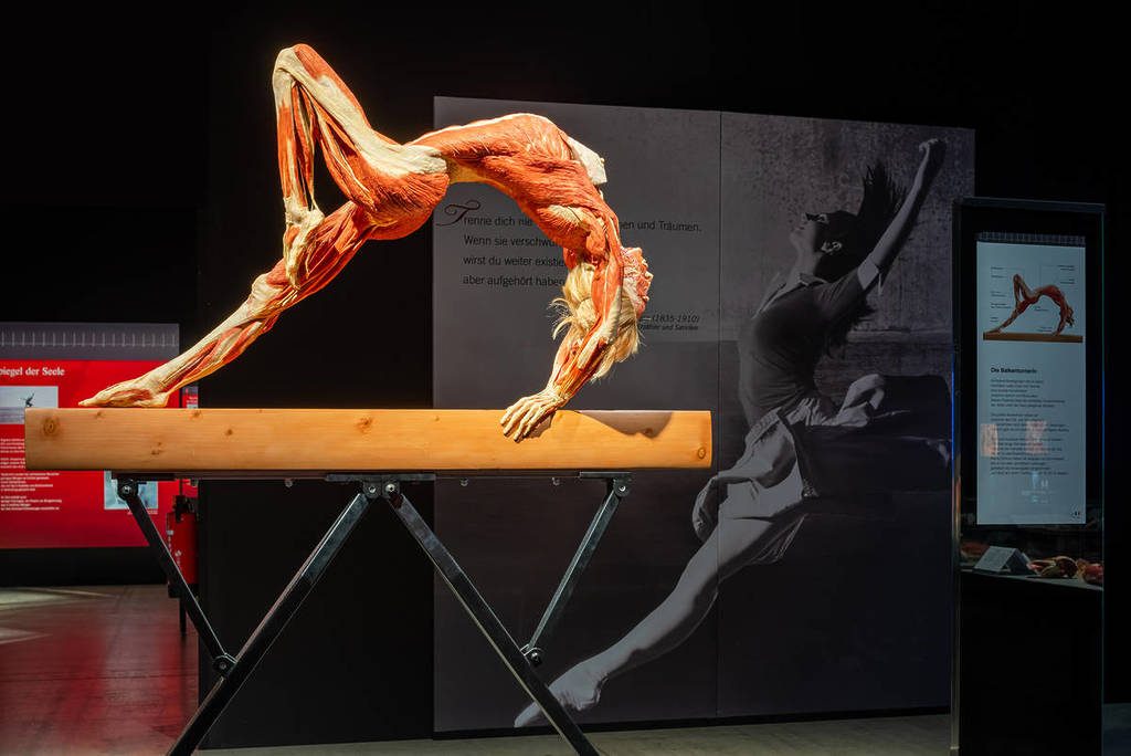 Mind and Body Gallery
