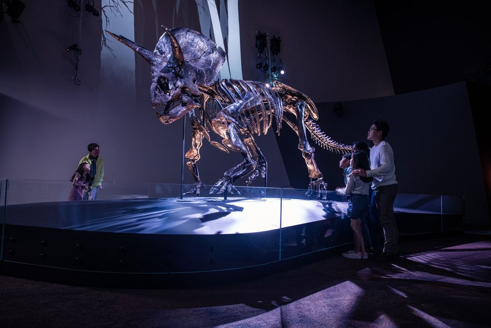 Dinosaur Walk
