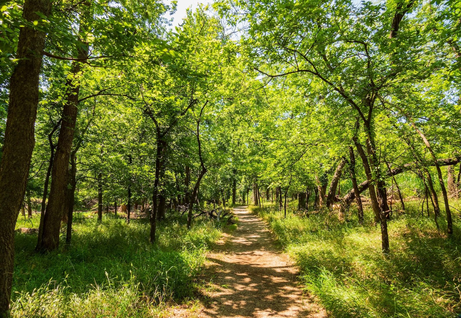 Denison Pequotsepos Nature Center