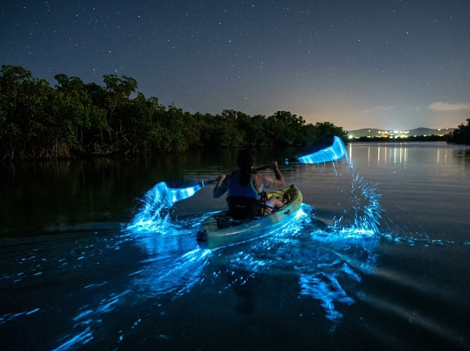 Bioluminescent Bay Puerto Rico Best Time to Go