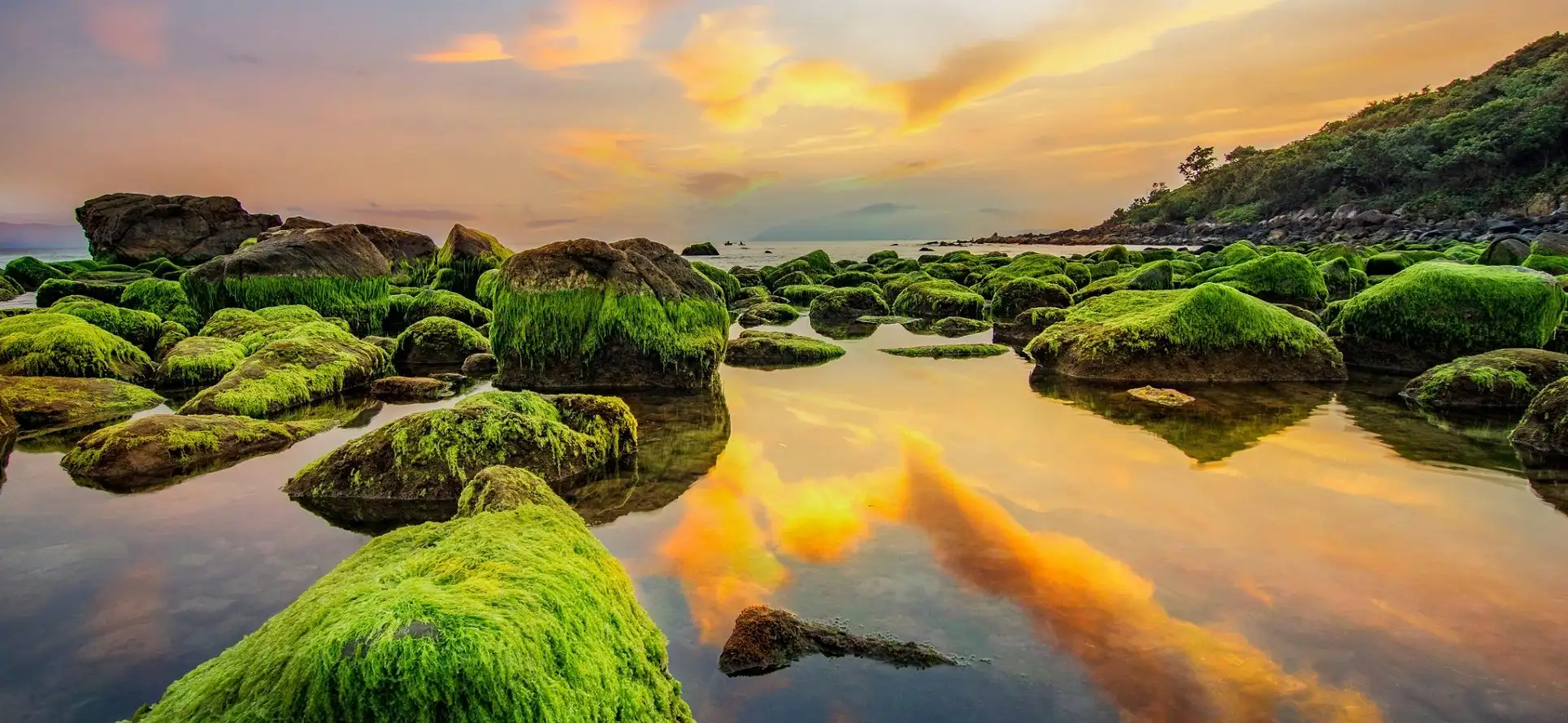 Nam O Reef