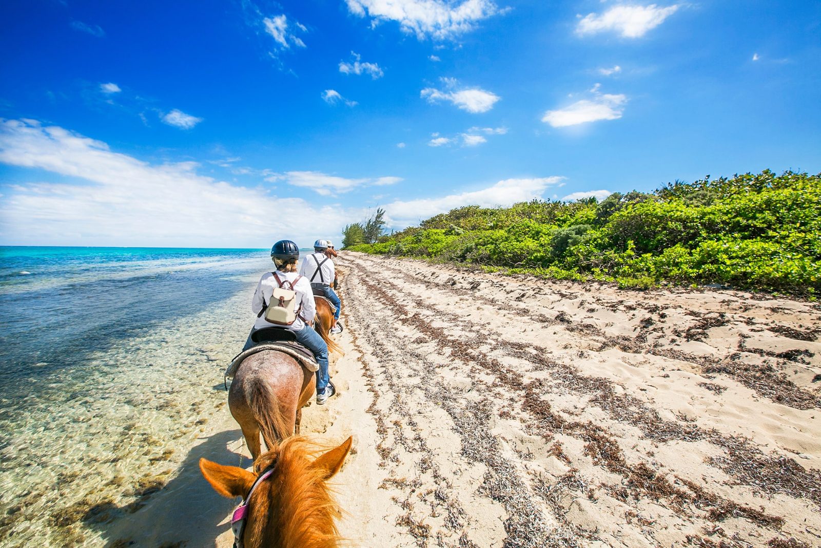 Horseback Riding Grand Cayman