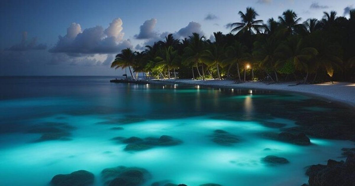 Bioluminescence Bay Night Tours
