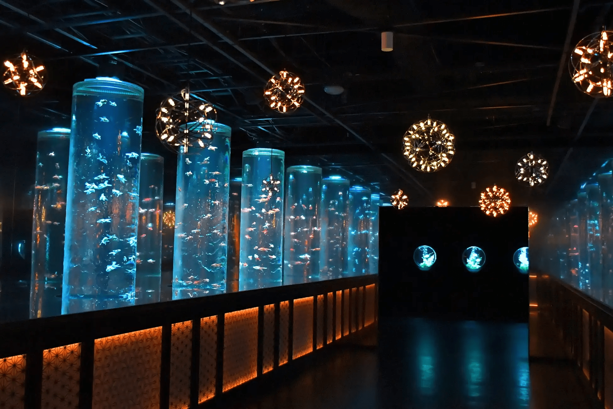 Art Aquarium Museum Ginza