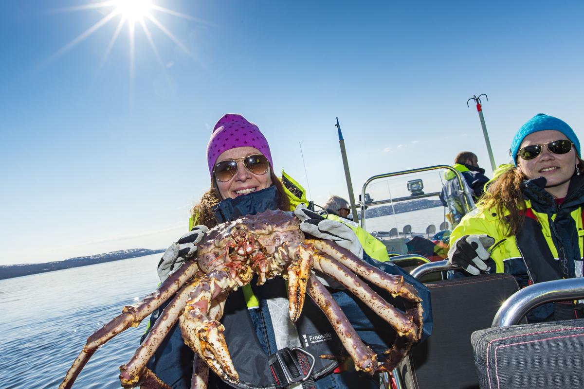 King Crab Safari Kirkenes Price