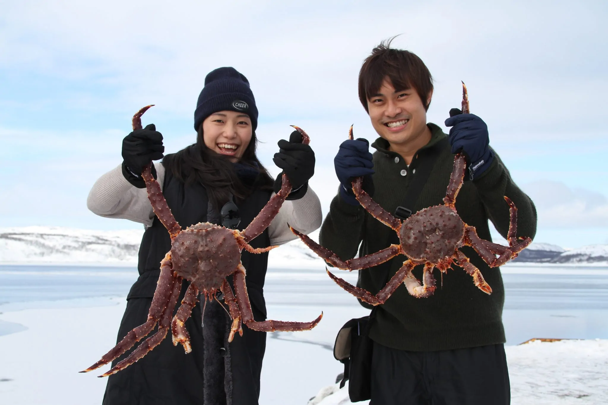 King Crab Safari Kirkenes Reviews