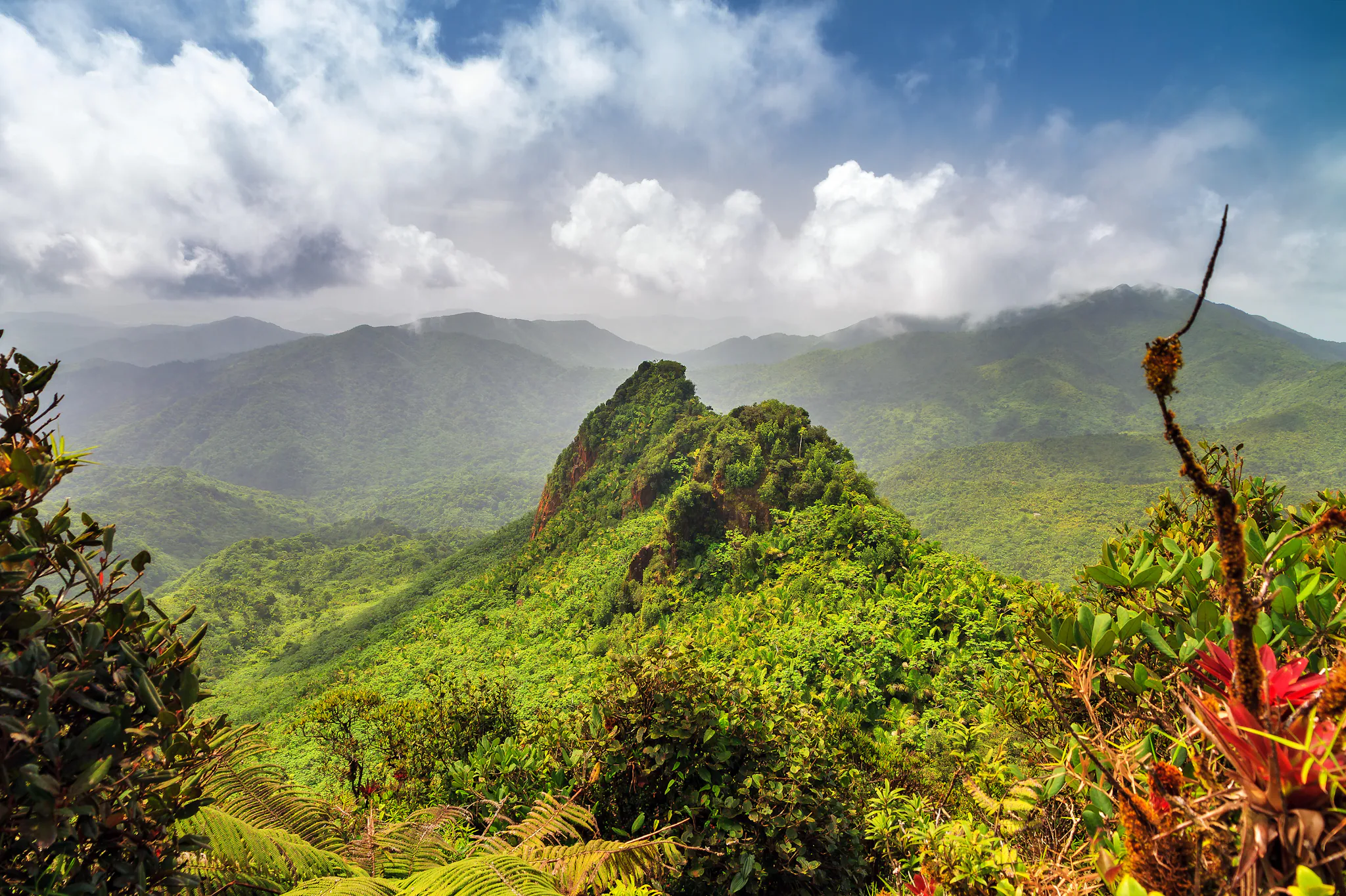 El Yunque National Forest