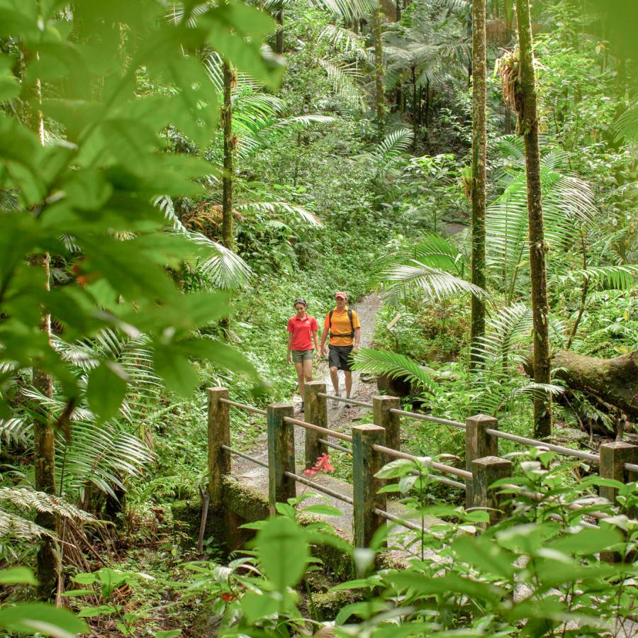 What to Wear to Rainforest in Puerto Rico