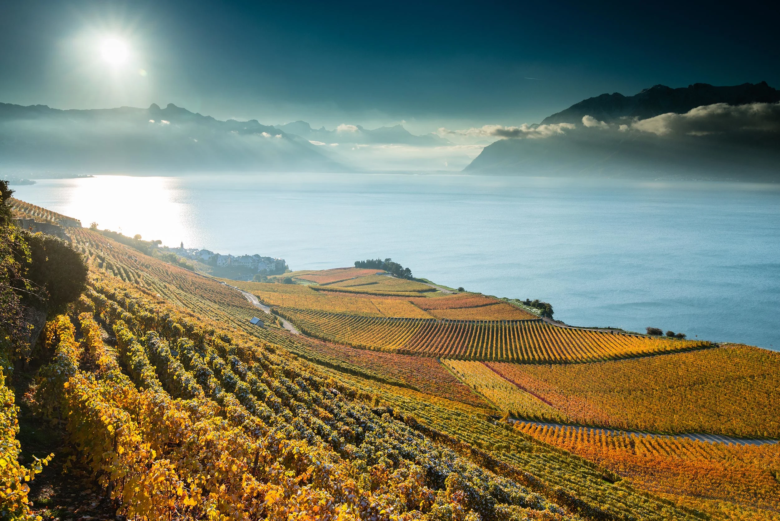 Lavaux Vineyard Terraces