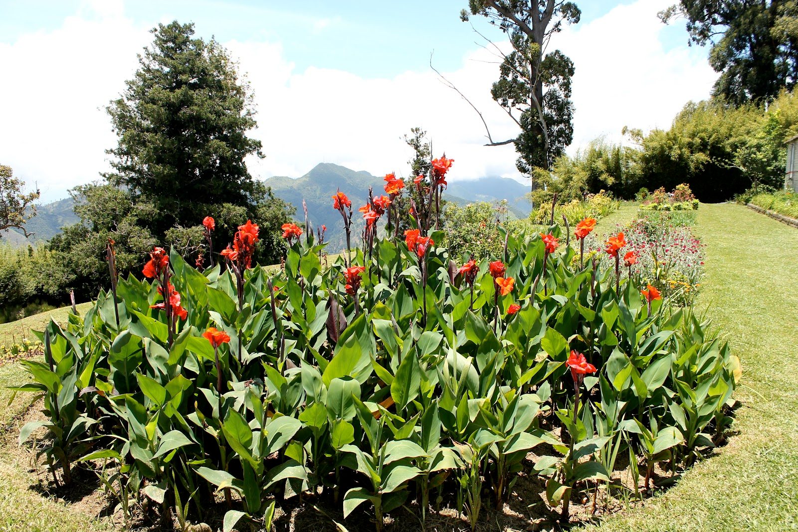Cinchona Botanical Gardens