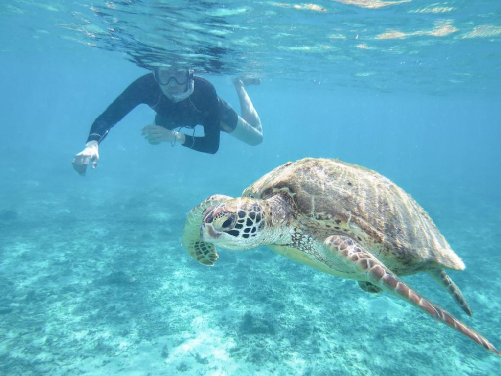 Aharen Beach reef edge