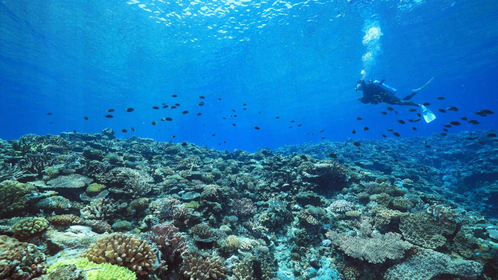 Offshore Coral Reefs
