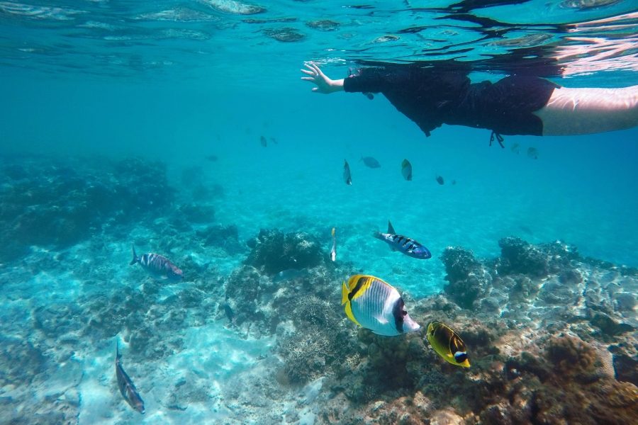 Tokashiki Island Snorkeling Rental