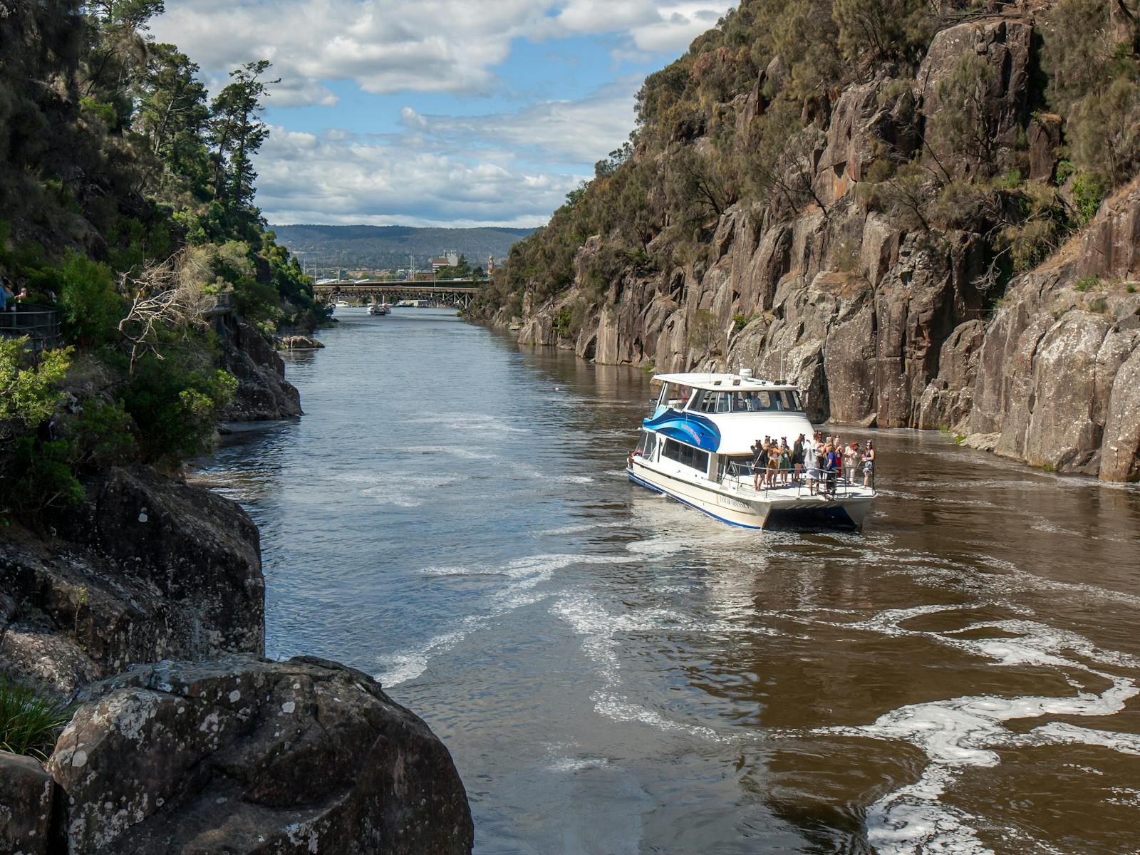 Tamar River Cruises Dog Friendly