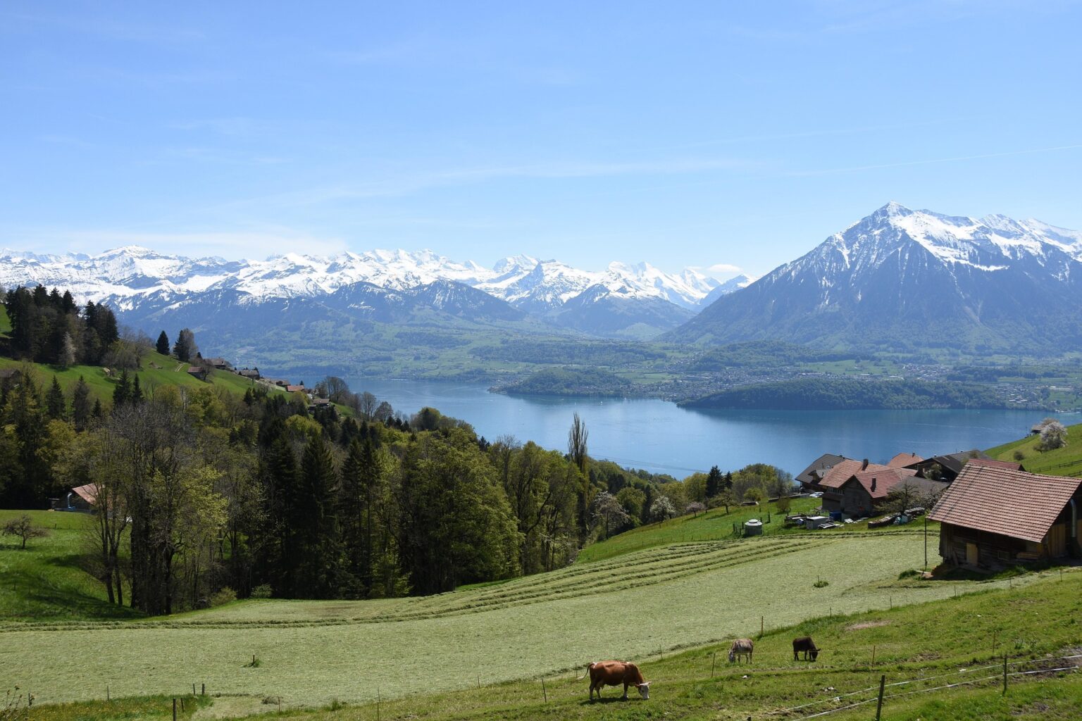 Lake Thun