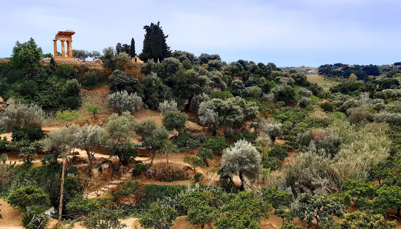 Kolymbethra Garden