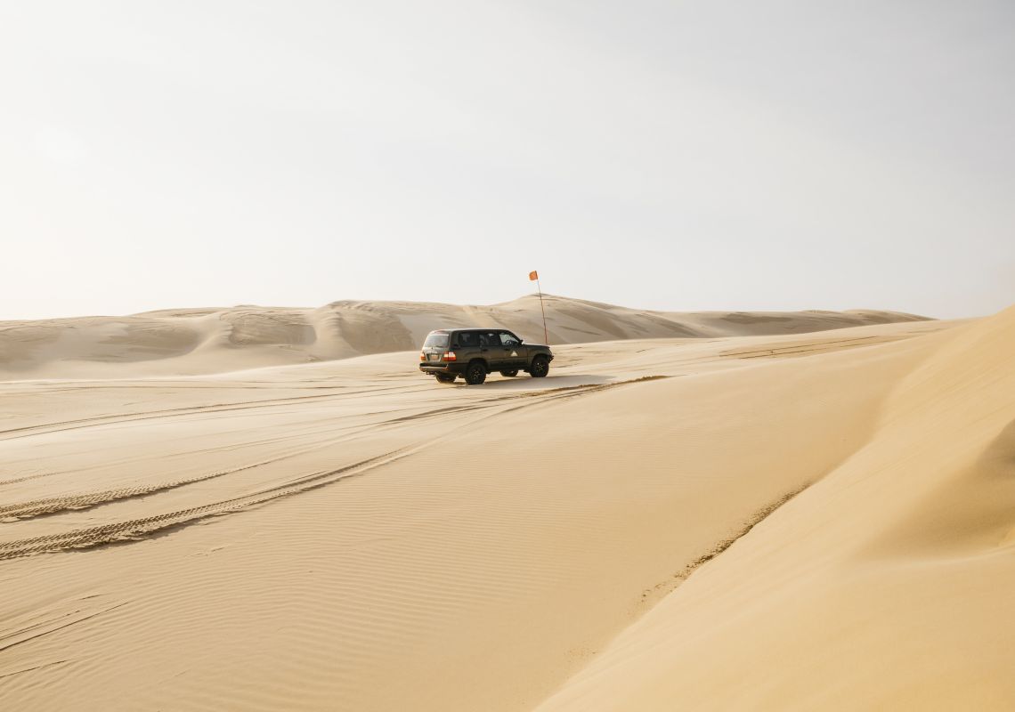 Port Stephens Beach & Dune Tour With Sandboarding