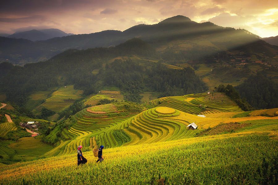 Mu Cang Chai Distance From Hanoi
