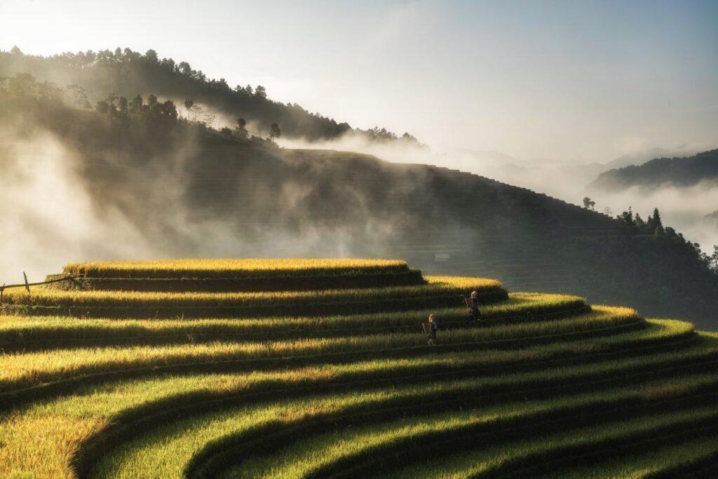 Mu Cang Chai Weather
