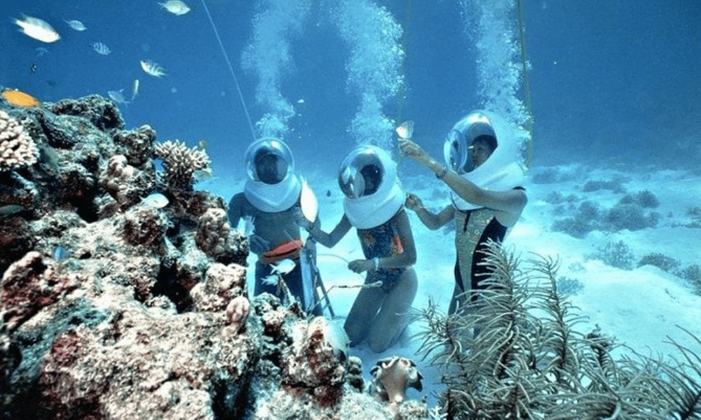 Sea Walking & Undersea Walk Experiences