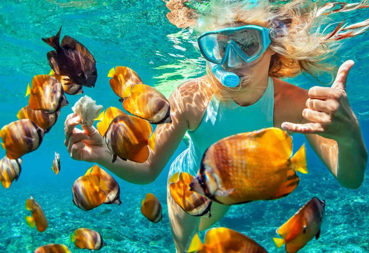Snorkeling Trips to Coral Island