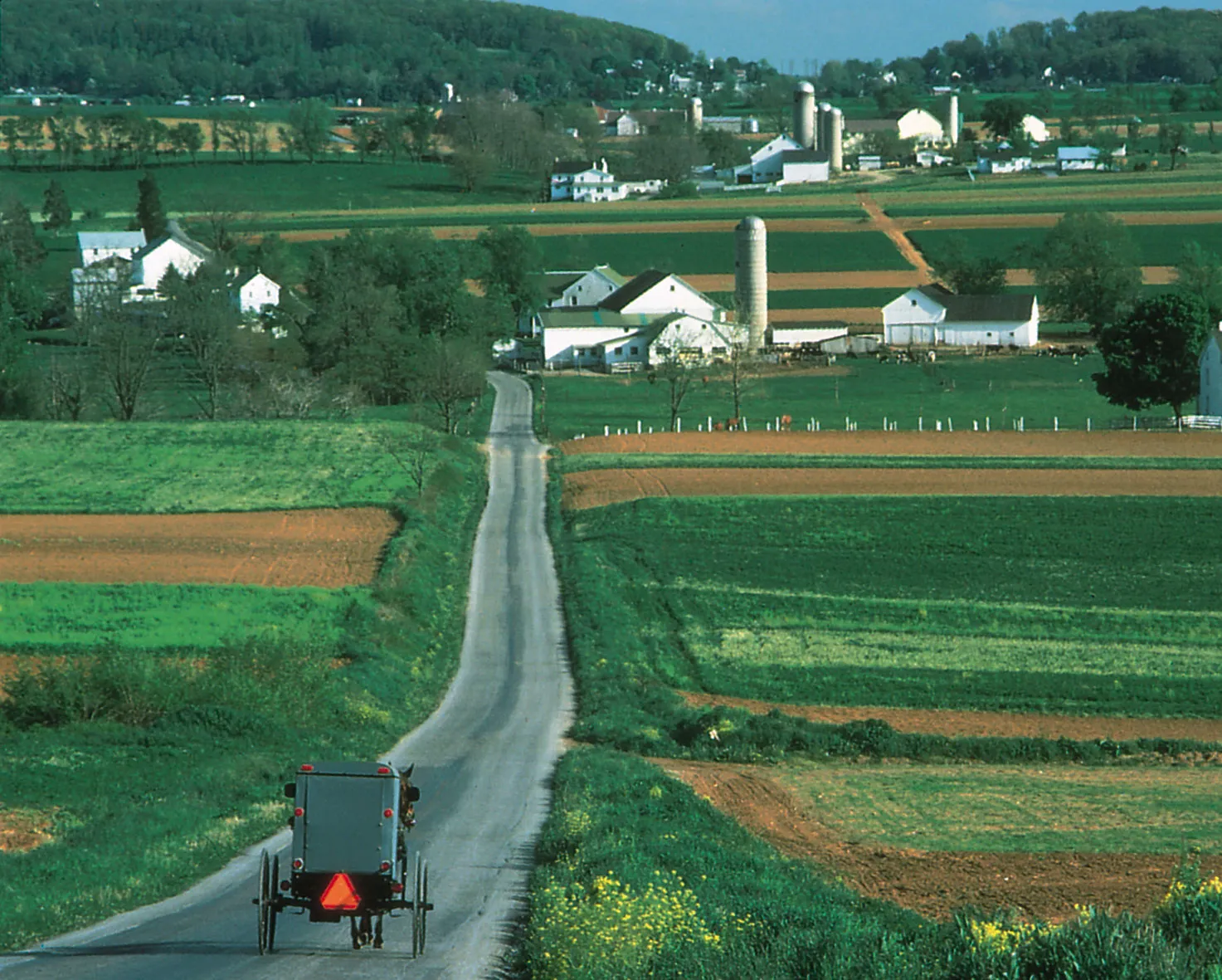 What Is There to Do in the Amish Country