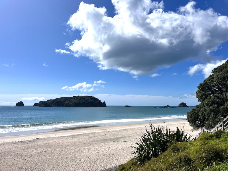 Hahei Beach
